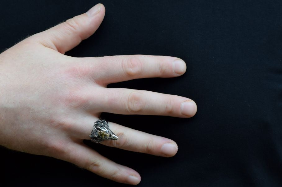Mannen ring, Anubis sieraad, mannen sieraden, zilveren mannen ring, dier ring voor mannen, Anubis mannen ring, stalen mannen ring, stoere mannen ring